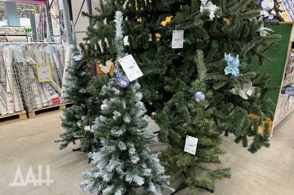 Фото: Донецкое агентство новостей