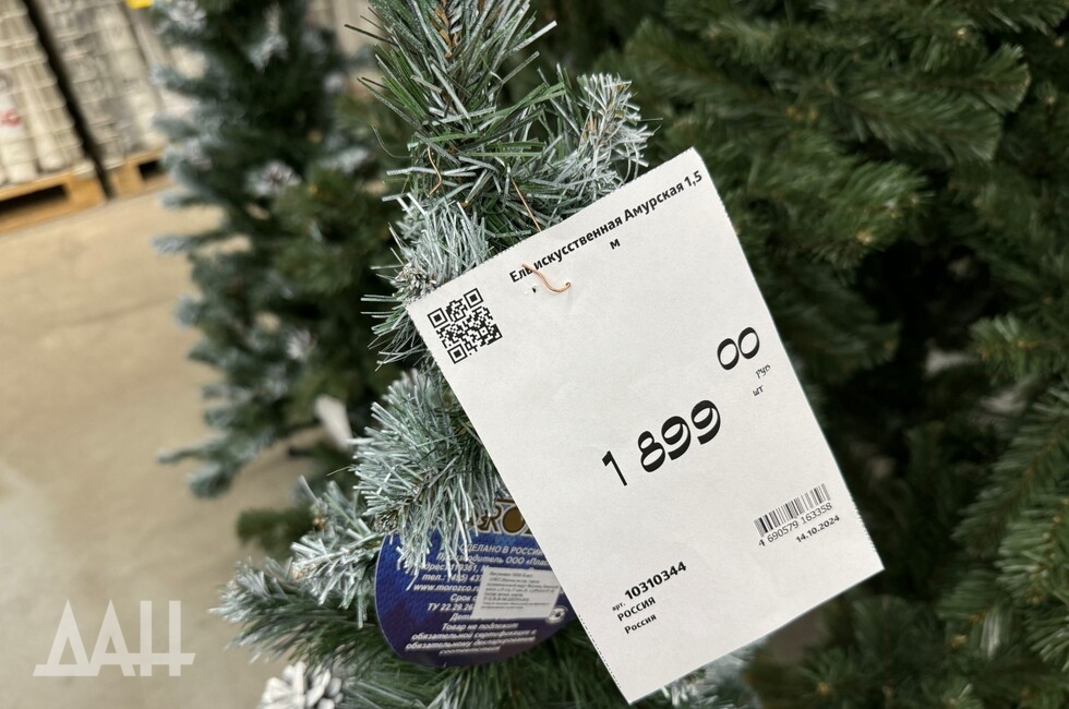 Фото: Донецкое агентство новостей