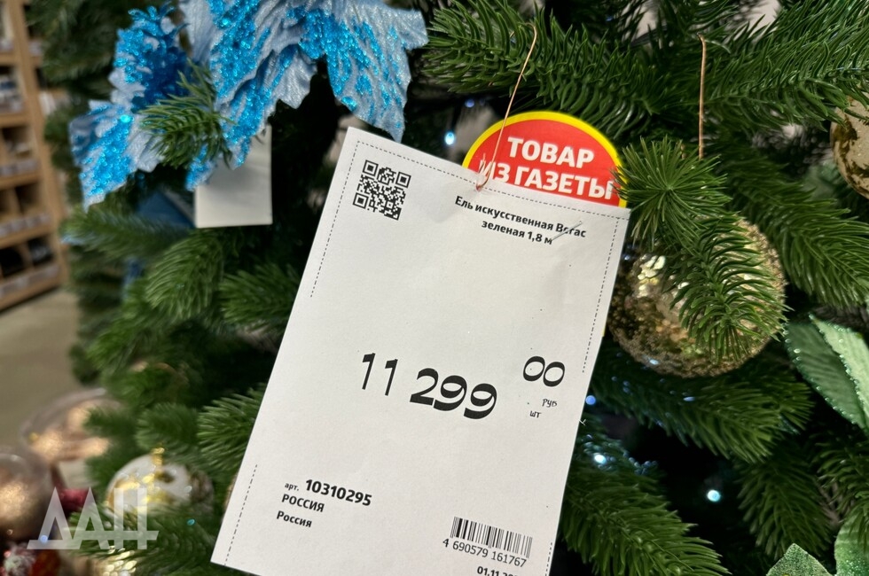 Фото: Донецкое агентство новостей