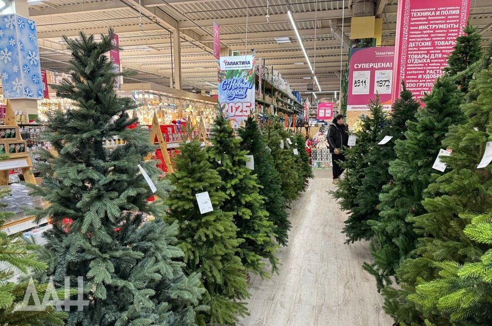 Фото: Донецкое агентство новостей