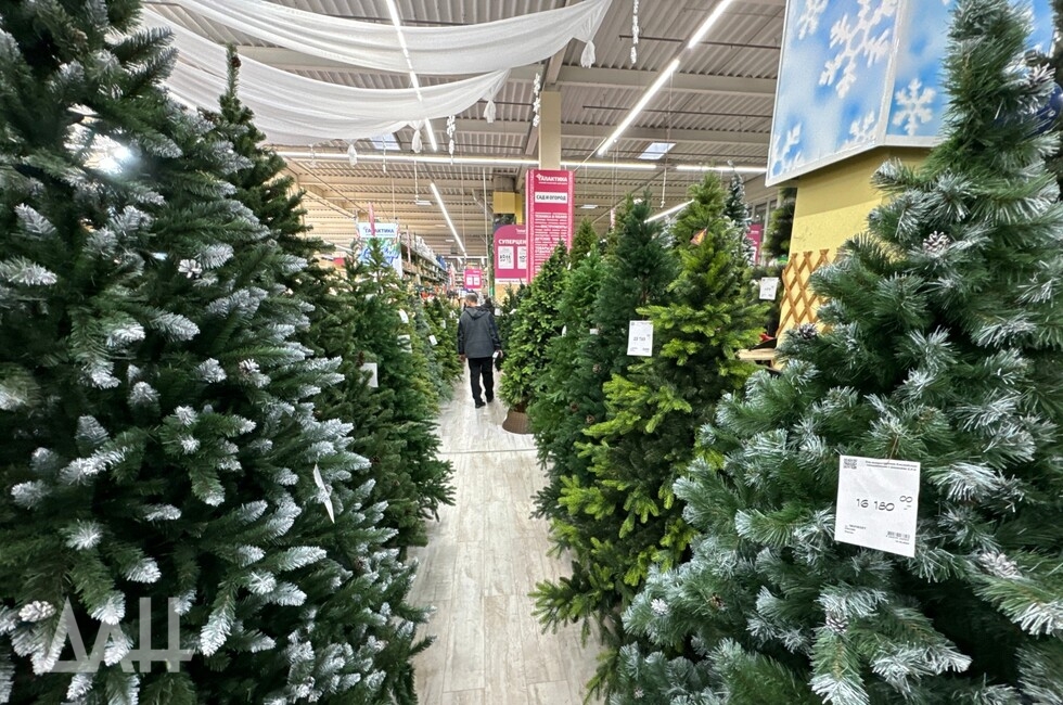 Фото: Донецкое агентство новостей