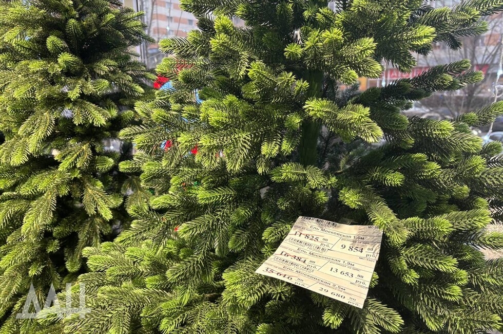 Фото: Донецкое агентство новостей