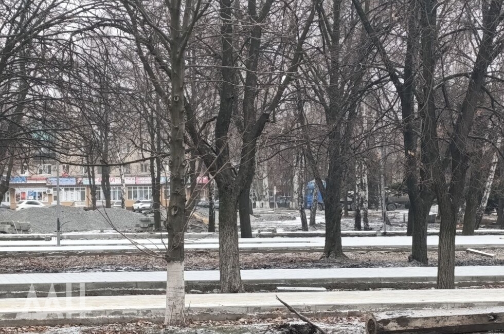 Фото: Донецкое агентство новостей