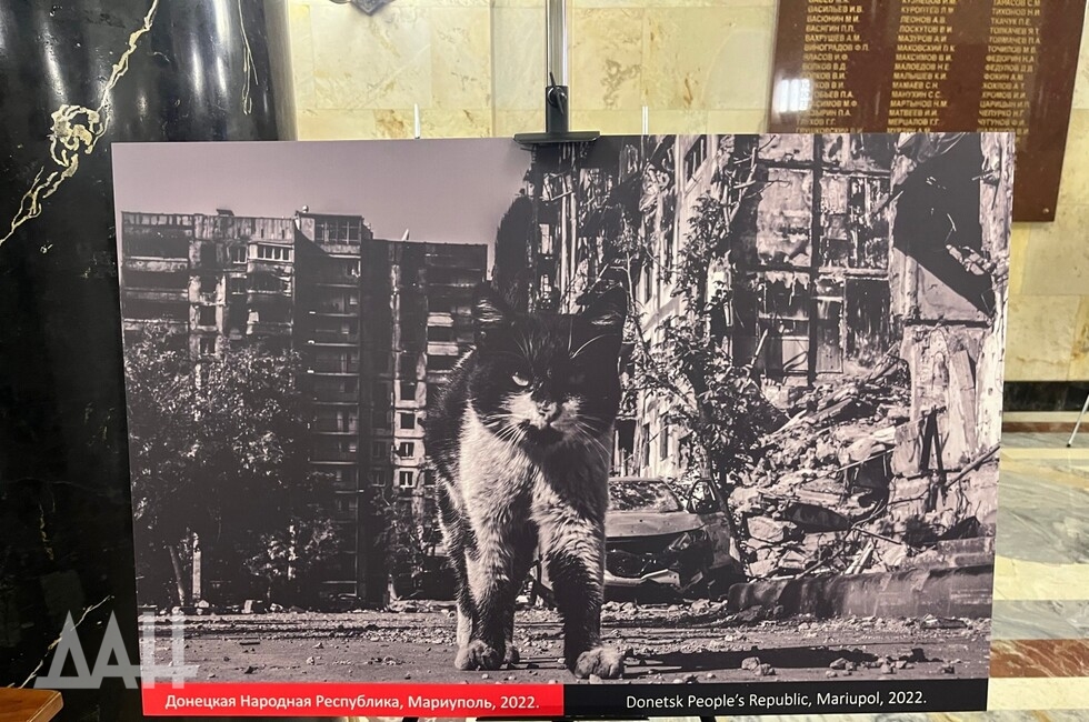 Фото: Донецкое агентство новостей