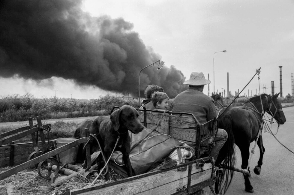 Фото: предоставлено одним из авторов выставки Сергеем Венявским