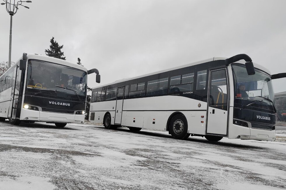 Фото: ТГ-канал 