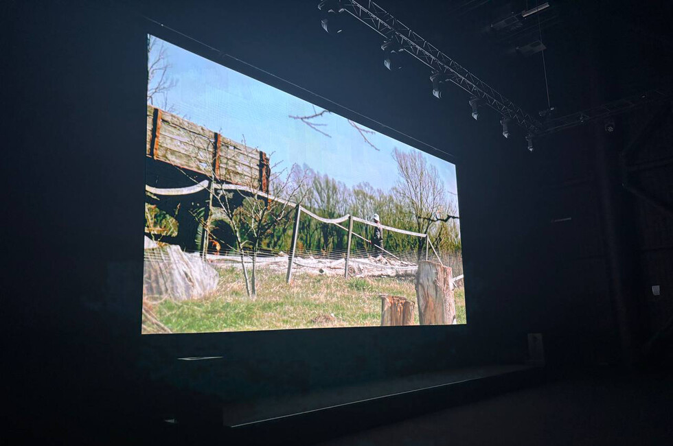 Фото: Донецкое агентство новостей