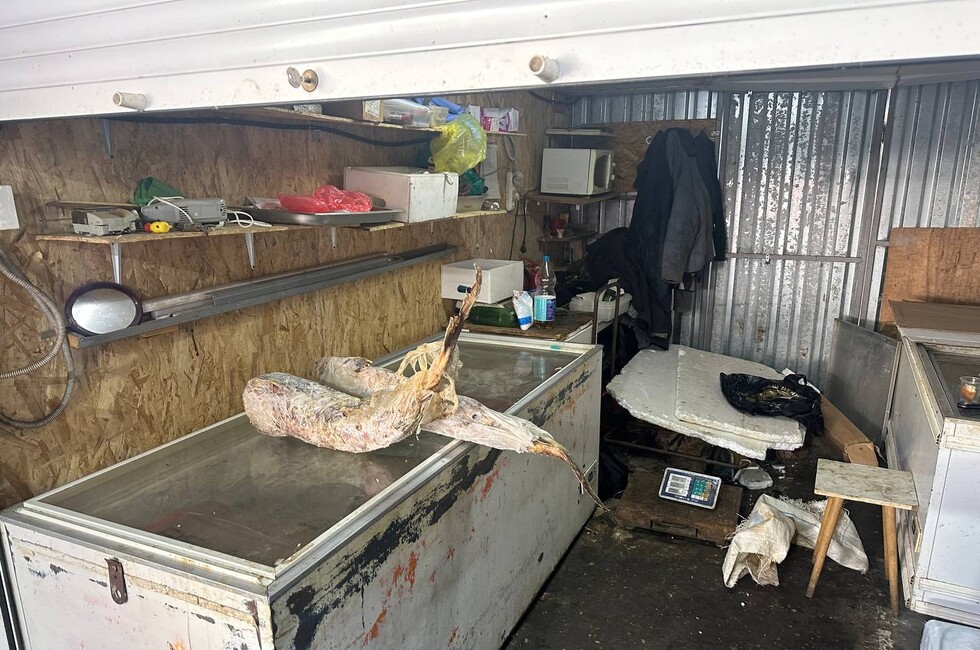 Фото: Официальный тг-канал МВД РФ по ДНР