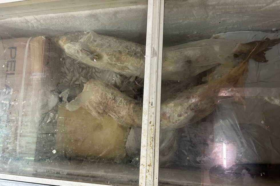 Фото: Официальный тг-канал МВД РФ по ДНР