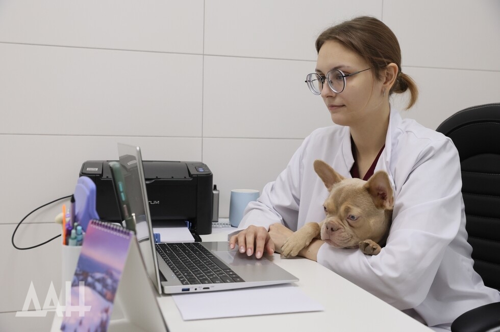 Фото: Донецкое агентство новостей