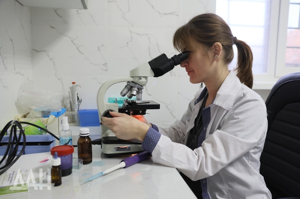 Фото: Донецкое агентство новостей