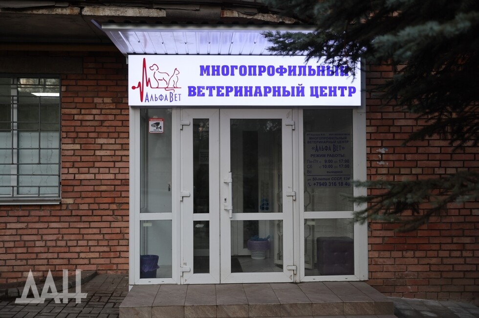 Фото: Донецкое агентство новостей