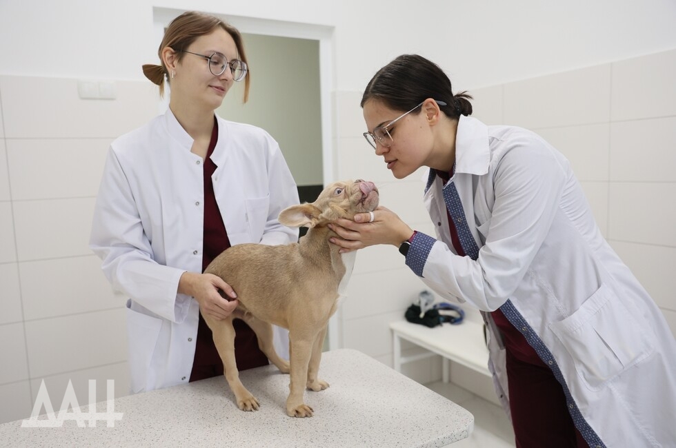 Фото: Донецкое агентство новостей