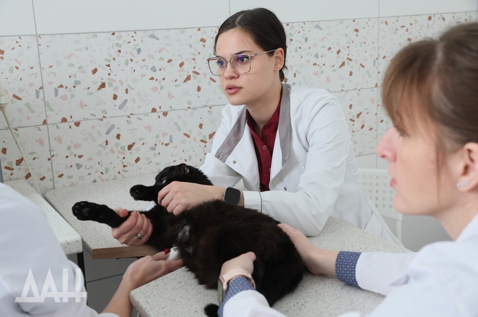 Фото: Донецкое агентство новостей