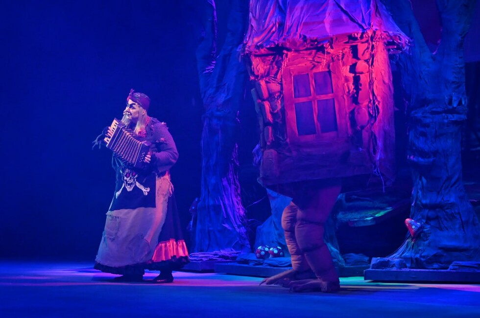 Фото: Пресс-служба МДТ имени М. М. Бровуна