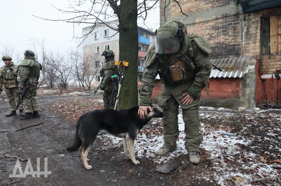 Фото: Донецкое агентство новостей