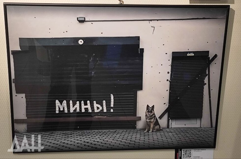 Фото: Донецкое агентство новостей