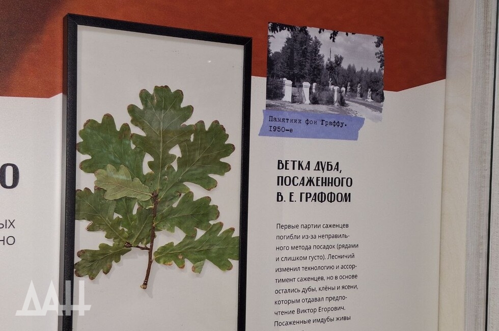 Фото: Донецкое агентство новостей