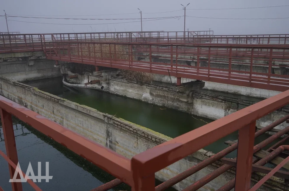 Фото: Донецкое агентство новостей