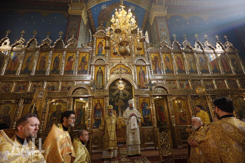 Фото: Донецкое агентство новостей