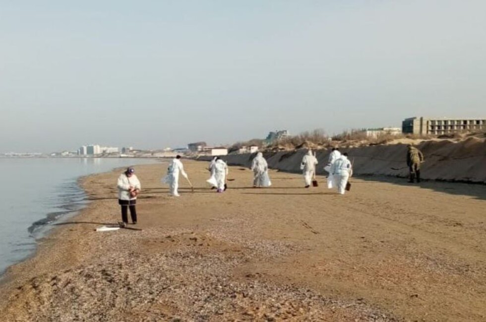 Фото: ТГ-канал 