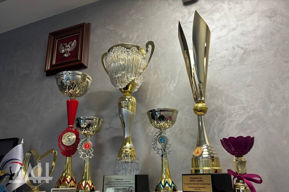 Фото: Донецкое агентство новостей