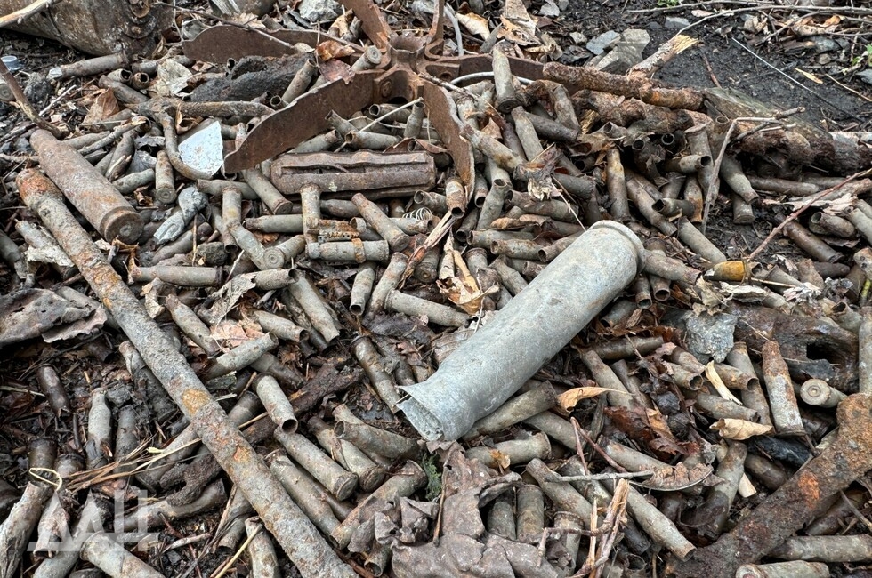 Фото: Донецкое агентство новостей