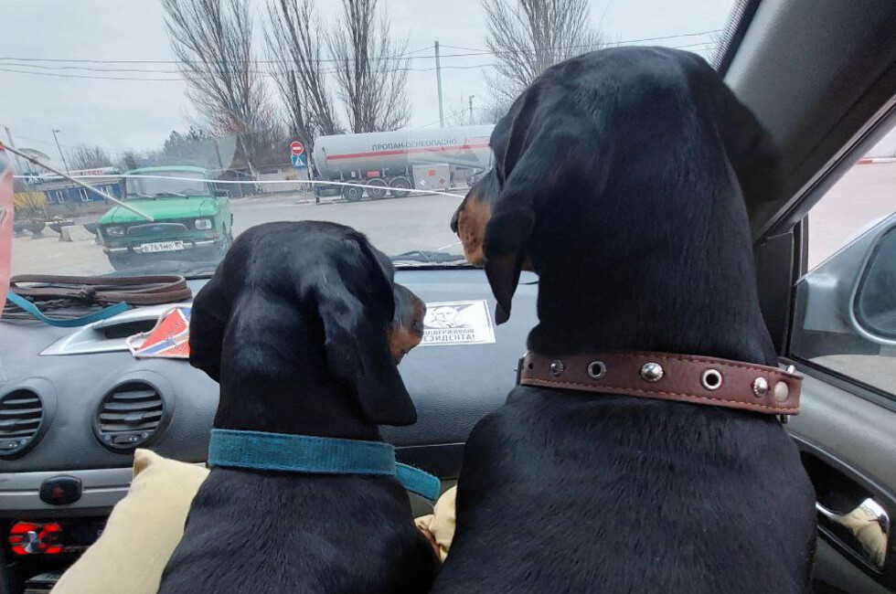 Фото предоставлены фондом 