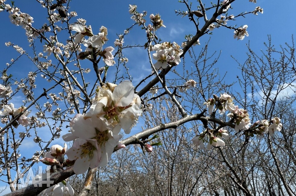 Фото: Донецкое агентство новостей