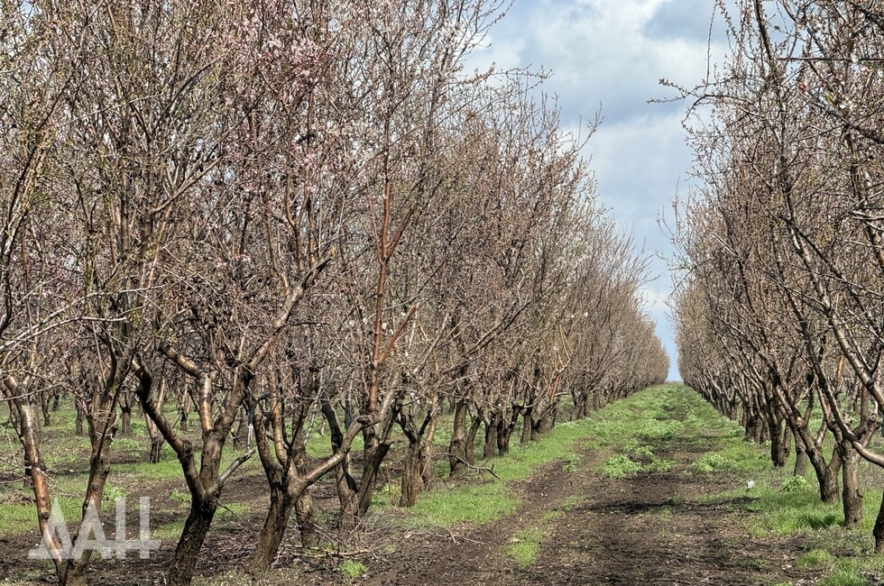 Фото: Донецкое агентство новостей