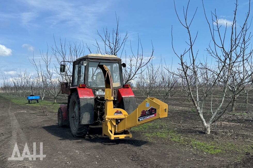 Фото: Донецкое агентство новостей