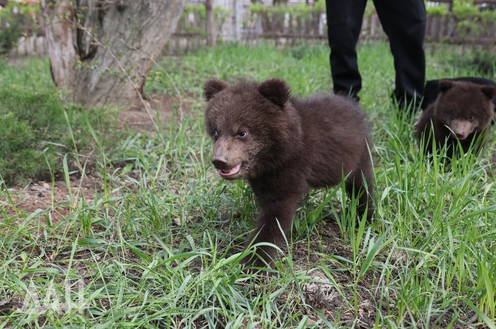 Фото: Донецкое агентство новостей