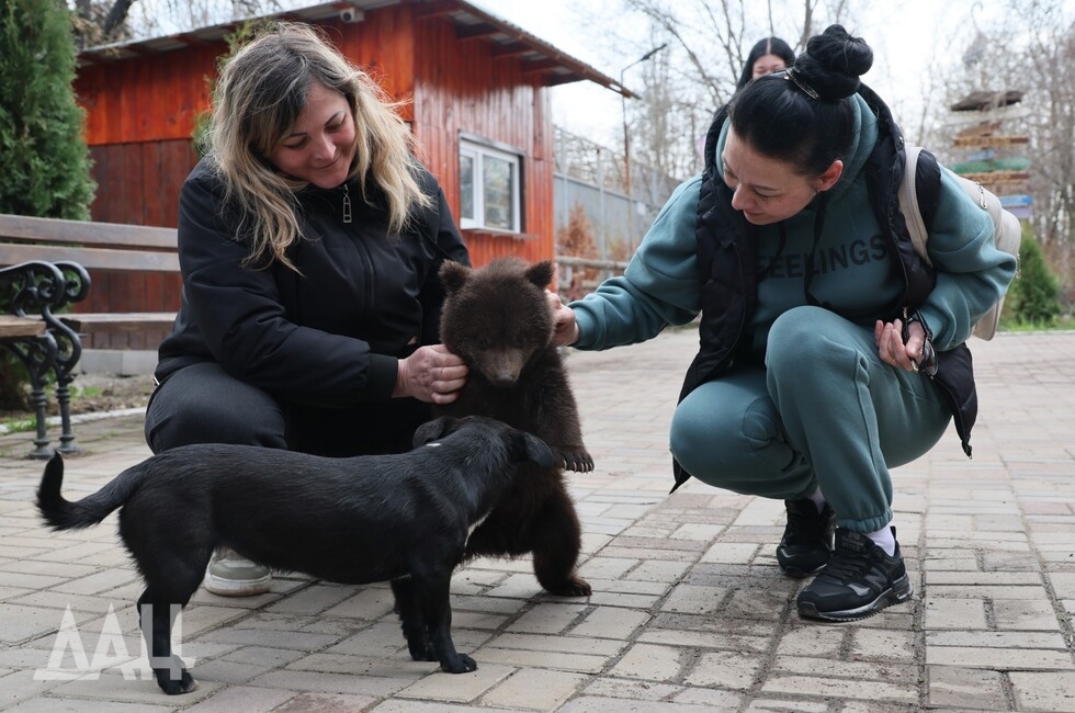 Фото: Донецкое агентство новостей