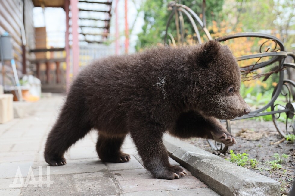 Фото: Донецкое агентство новостей