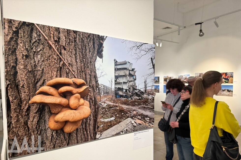 Фото: Донецкое агентство новостей