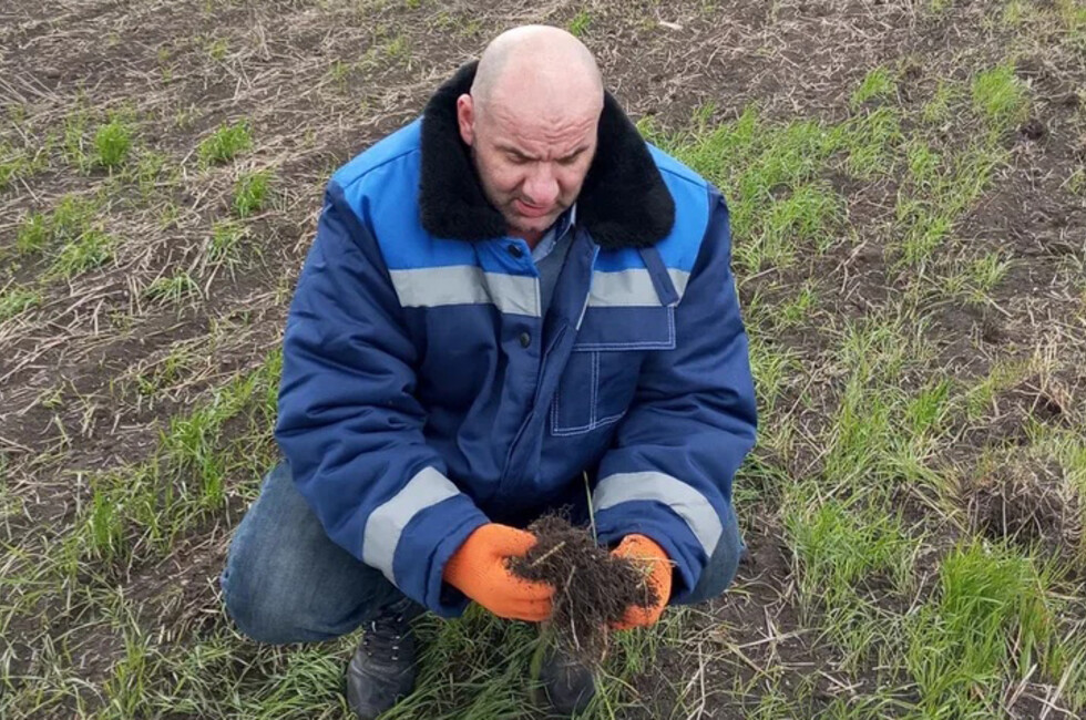 Фото: пресс-служба Россельхозцентра «Донецкий»