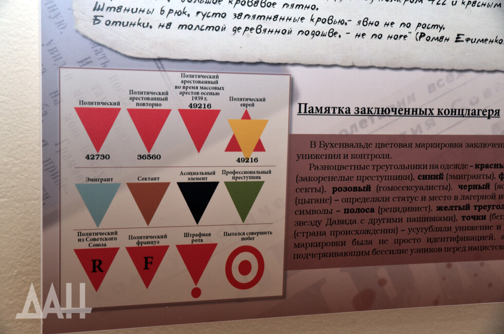 Фото: Донецкое агентство новостей