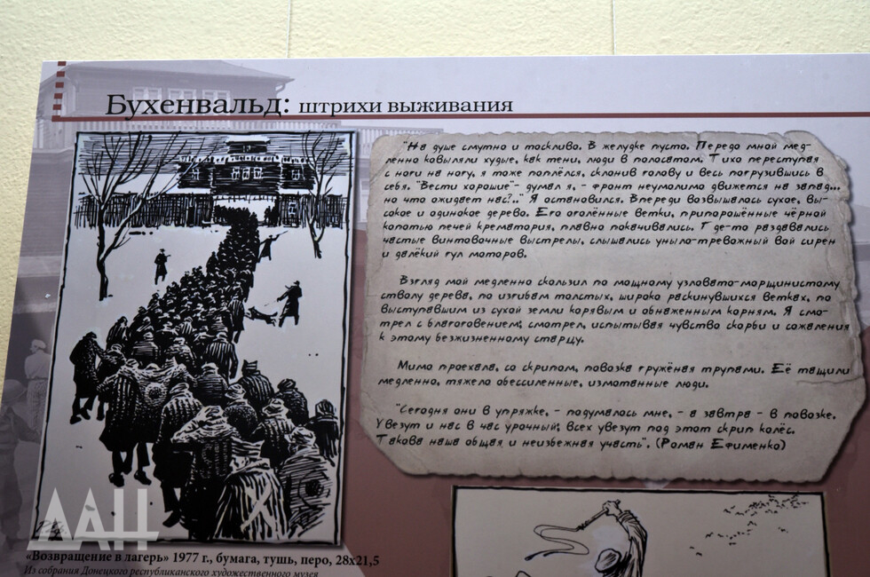 Фото: Донецкое агентство новостей