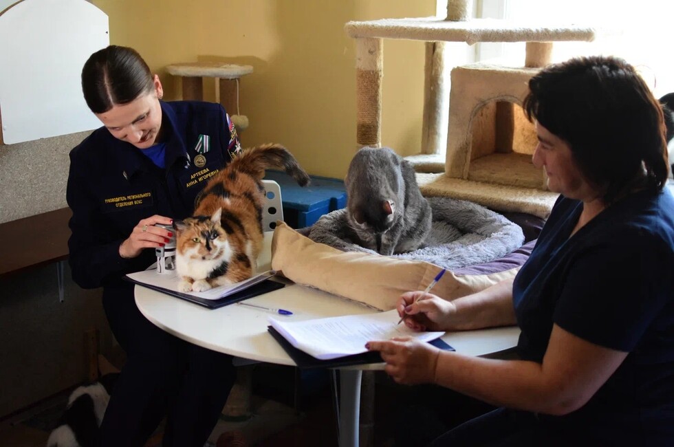 Фото: Донецкое региональное отделение ВСКС