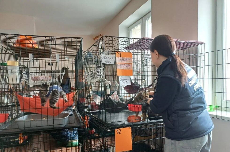 Фото: Донецкое региональное отделение ВСКС