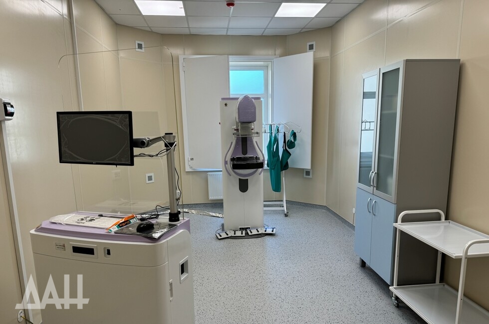 Фото: Донецкое агентство новостей