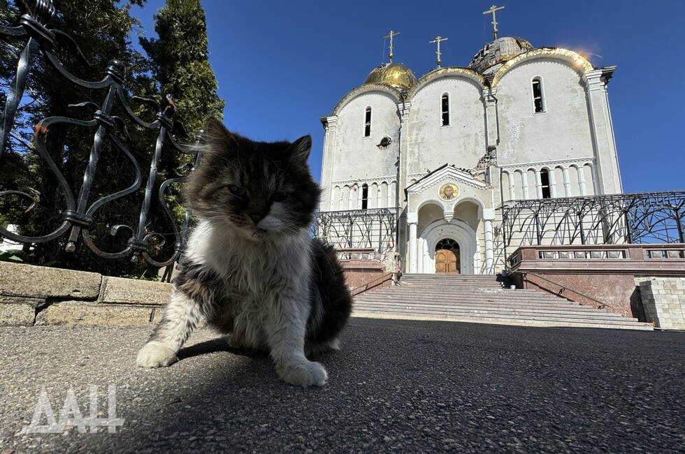Фото: Донецкое агентство новостей