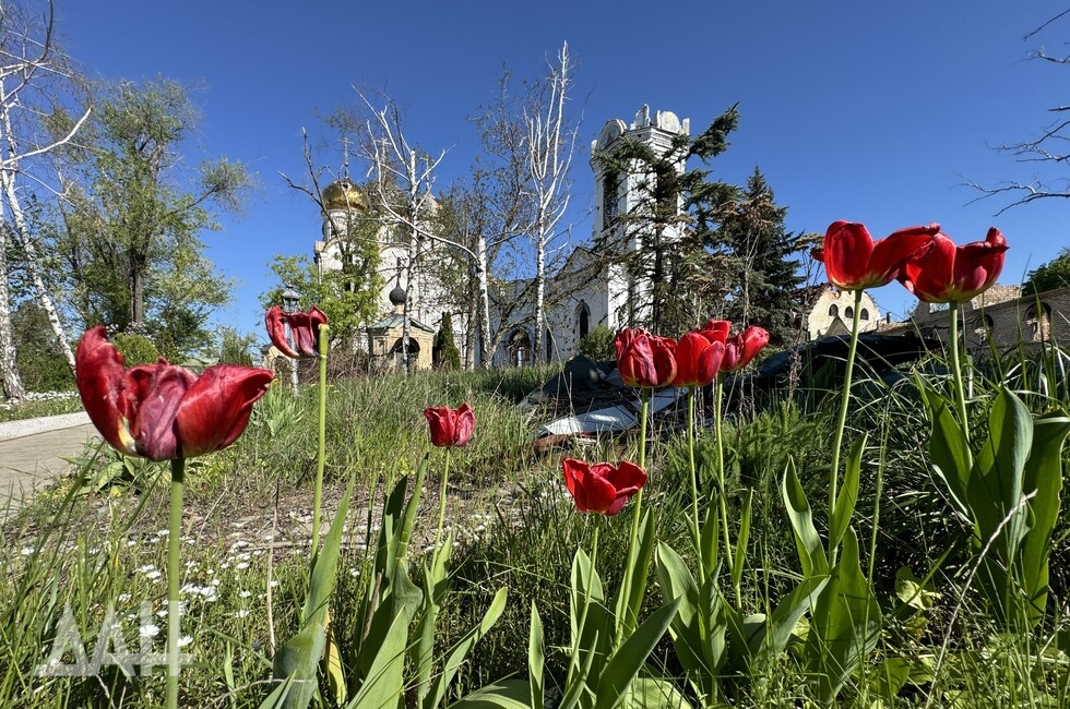 Фото: Донецкое агентство новостей