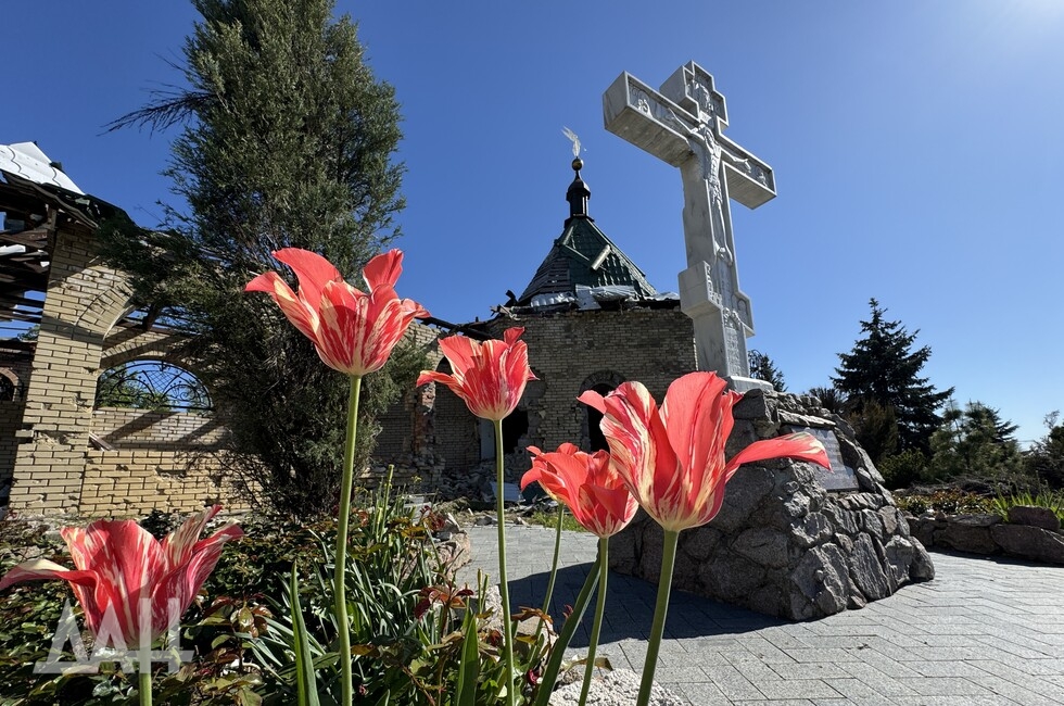 Фото: Донецкое агентство новостей