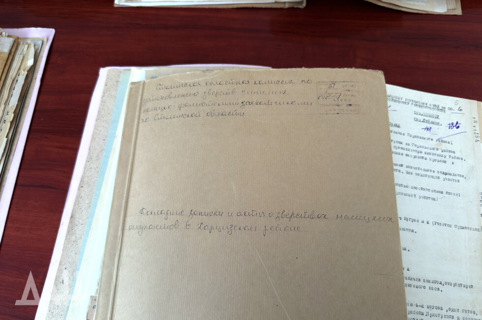 Фото: Донецкое агентство новостей