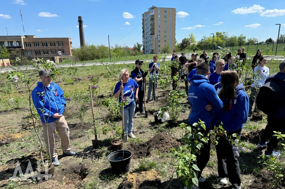 Фото: Донецкое агентство новостей 