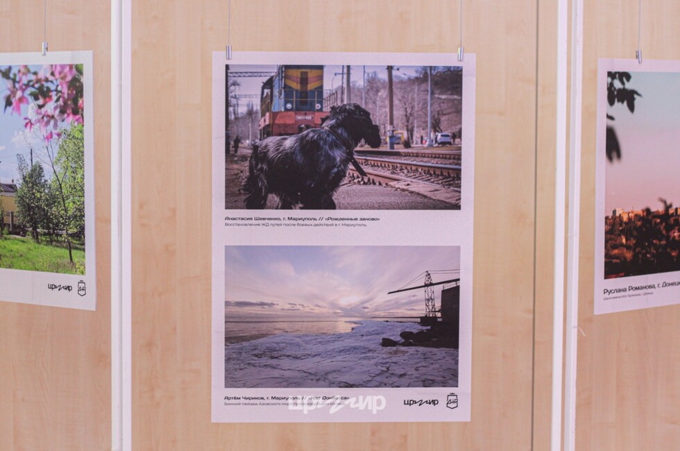 Фото: Пресс-служба центра развития молодежных инициатив ДНР