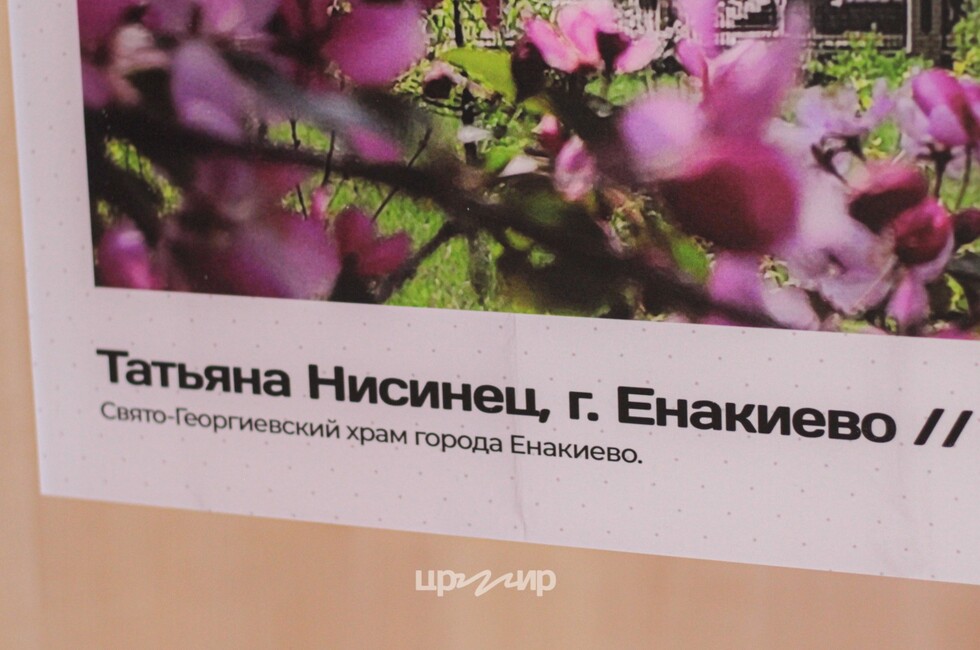 Фото: Пресс-служба центра развития молодежных инициатив ДНР