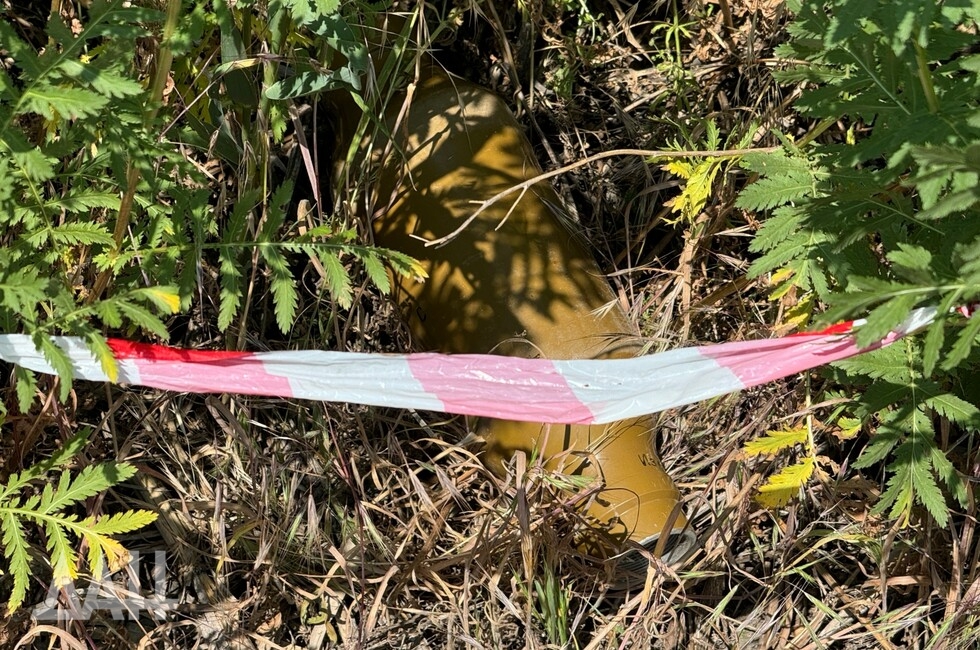 Фото: Донецкое агентство новостей