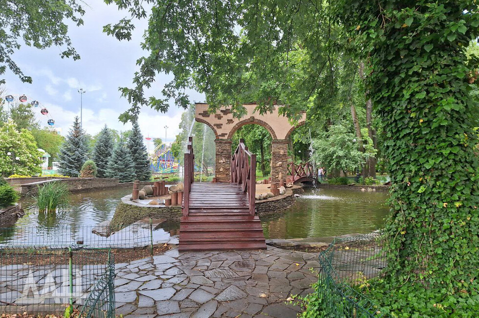 Фото: Донецкое агентство новостей